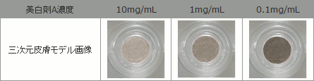 美白剤Aを各濃度で2週間添加した際におけるメラニン産生量の比較